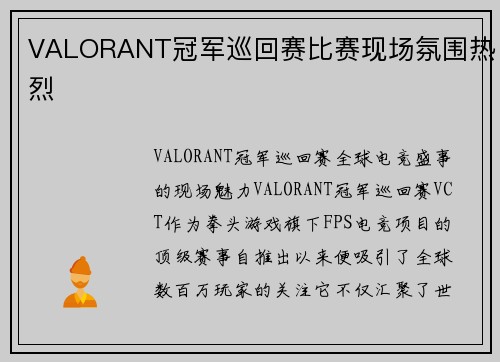 VALORANT冠军巡回赛比赛现场氛围热烈